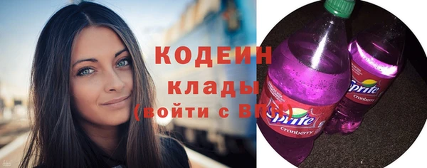 шишки Белокуриха