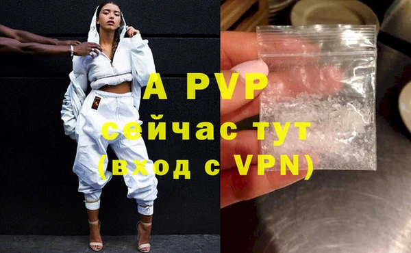 шишки Белокуриха
