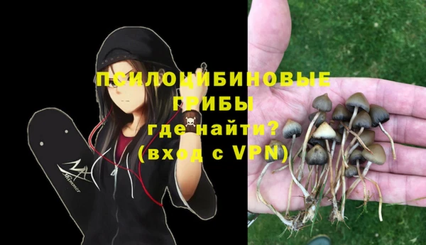 apvp Балабаново