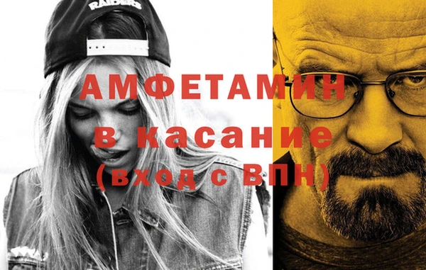 шишки Белокуриха