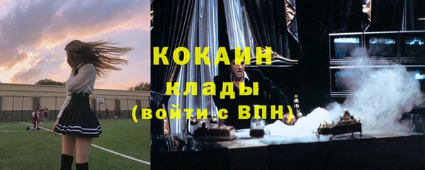 шишки Белокуриха