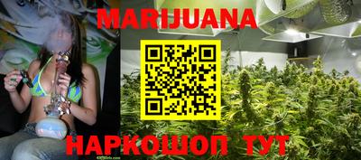 гидра Кингисепп