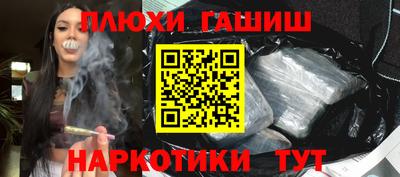 гидра Кингисепп