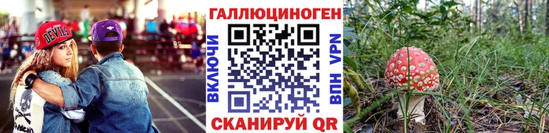 Псилоцибиновые грибы Magic Shrooms как найти закладки Кунгур