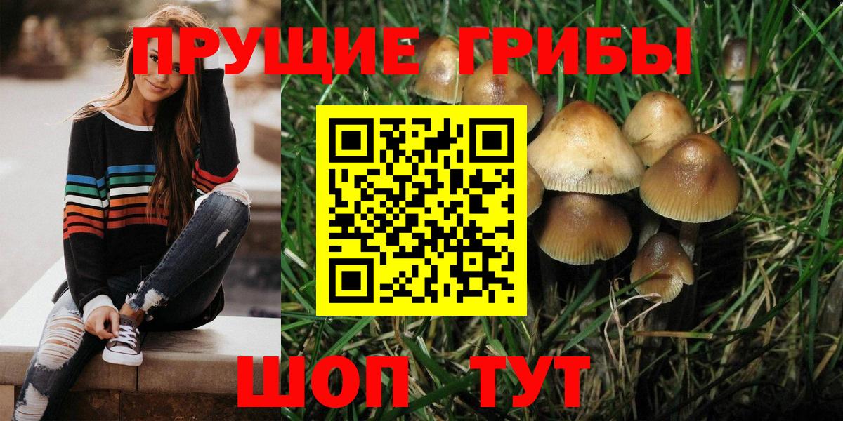 наркота  Вход с VPN  Кунгур  Галлюциногенные грибы GOLDEN TEACHER 